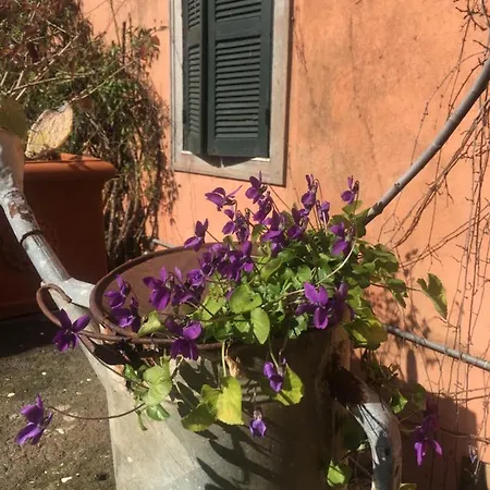 Appartement La Fontanella - Piccolo Nel Centro Storico Di Nemi