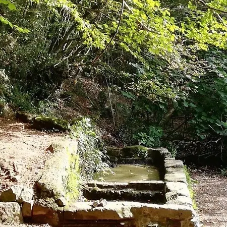 La Fontanella - Piccolo Nel Centro Storico Di Nemi