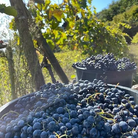 Daire La Fontanella - Piccolo Nel Centro Storico Di